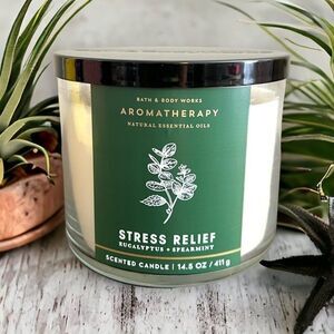 Bath & Body Works Aromatherapy Eucalyptus + Spearmint Candle